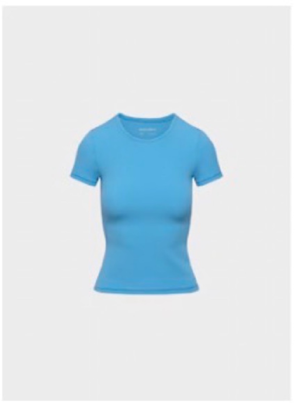Aritzia Fitted T-Shirt – Brand New